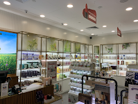 THEFACESHOP - Nature Collection (Great World)