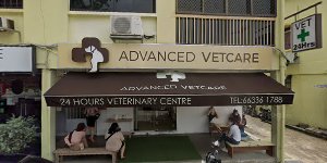 Advanced VetCare Veterinary Centre (Bedok)