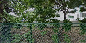 Punggol Cove Primary School