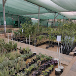 Sharifah Plant Nursery