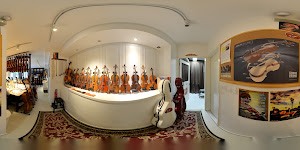 Johann Strings Violin 约翰提琴