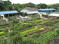 World Farm & Hua Hng Jurong