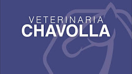 Veterinaria Chavolla